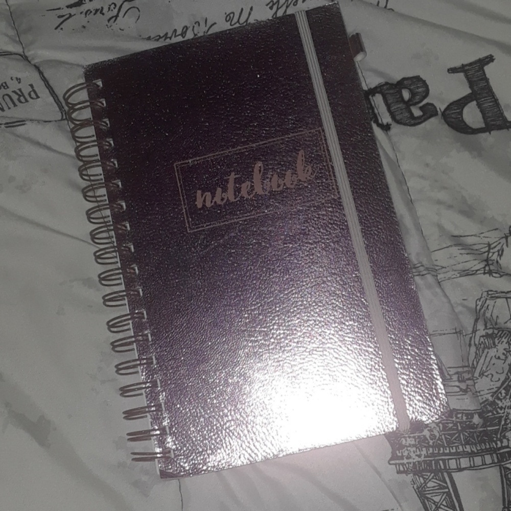 Shimmery Notebook!